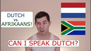 Can I Speak Dutch Dutch vs Afrikaans [upl. by Ojybbob]