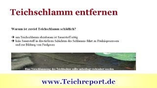 Teichschlamm entfernen Phosphate binden  Video So geht Ihr Gartenteich topfit in die Wintersaison [upl. by Yliah821]