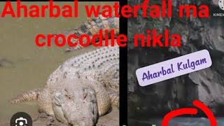 kashmir k Aharbal waterfall ma crocodile nikla vedio viral [upl. by Blankenship259]