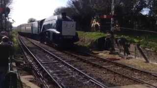 Day out with Thomas the tank engine on the watercress line [upl. by Medwin725]