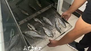 Fish dryer machineFish dehydratorFish drying [upl. by Rehptsirhc]