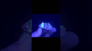 The Glowing Stone Fluorescence Petroleum Diamond Quartz Crystals fluorescence quartz gemstone [upl. by Liahus]