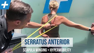 Serratus Anterior Exercises for Winging Scapula and Hypermobility  Tim Keeley  Physio REHAB [upl. by Grete]