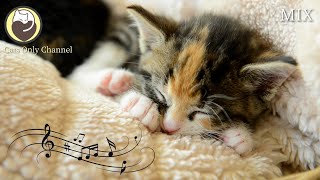 Soothing Music for Cats with cat purring sounds  Anxiety and Stress Relief [upl. by Aerahs]