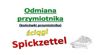 Odmiana końcówki przymiotnika  Ściąga  Niemiecki dla początkujących 12 [upl. by Ayila]