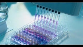 Test ELISA [upl. by Aillicec]