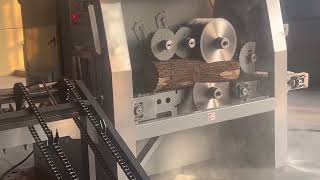 Log cutting multi rip saw with log loading rack [upl. by Draned133]