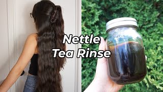 Nettle Tea Rinse for Healthy Hair  Scalp  Summer Growth Challenge ♡ [upl. by Ellekram]