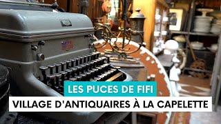 Les puces de Fifi le collectif qui fait revivre le village des Antiquaires de la Capelette [upl. by Ilatfen]