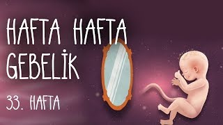 Hafta Hafta Gebelik 33 hafta [upl. by Juliano]