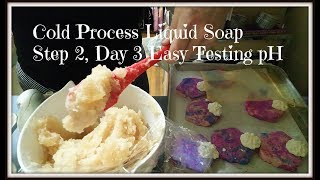 CPLS Step 2 Day 3Testing Soap Paste I Jentle Soaps [upl. by Thayer]