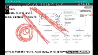 L1PathoPart 2Resp 43 [upl. by Ahsilat]