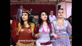 halparke kurdi amp kurdish dance amp musicampsarkawt Qurbani [upl. by Natan531]