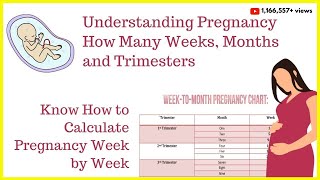 How to Calculate Your Pregnancy by Weeks Months amp TrimestersWeeks into MonthsDue Date Calculator [upl. by Llirred]