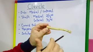 CLAVICLE GENERAL FEATURES AND ATTACHMENTS BY DR MITESH DAVE [upl. by Okimat]