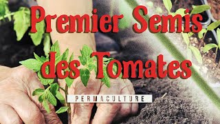 Tout savoir pour Semer ses premières tomates [upl. by Nwahsyd]