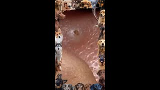 Blackhead Removal  14 Blackhead extraction  blackheads [upl. by Odom]