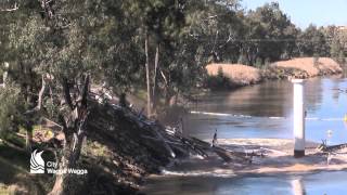 Induced collapse of the Hampden Bridge Wagga Wagga [upl. by Darwin]