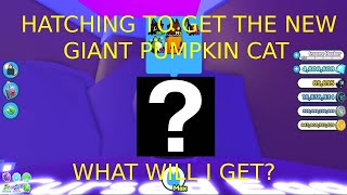 HATCHING FOR THE NEW HUGE PUMPKIN CAT PART 1 SO MANY MYTHICS  Pet Simulator X [upl. by Nivonod412]