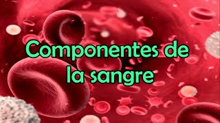 Los componentes de la sangre [upl. by Enitsenrae]