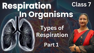 Class 7 Science Chapter 6  Respiration In Organisms  Ncert  Part 1 [upl. by Levine22]