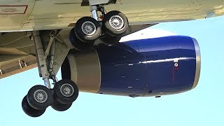 Teen Survives 5 Hours Unconscious In Wheel Well Of Airplane [upl. by Primrosa]