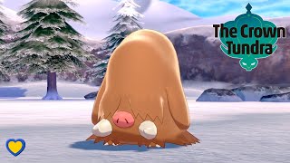 HOW TO GET Piloswine in Pokémon Sword and Shield [upl. by Ostler]