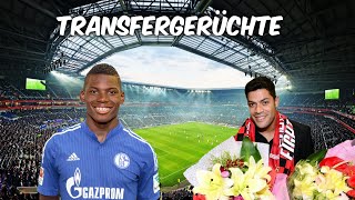 Embolo zu Schalke fix   Hulk nach China zu Shanghai SIPG   Transfers und Transfergerüchte 2016 [upl. by Cecilio]