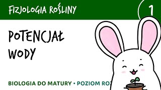 Potencjał wody i te sprawy  Fizjologia roślin 1  matura liceum biologia rozszerzona [upl. by Anaul755]