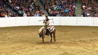 Freestyle Reining 2017 Quarter Horse Congress [upl. by Seraphina]