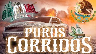 PUROS CORRIDOS NORTEÑOS VIEJITOS MEXICANOS MIX PARA PISTEAR [upl. by Mychal]