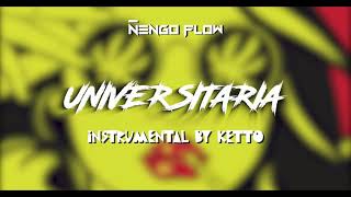 Universitaria Instrumental By Ketto  Ñengo Flow [upl. by Nahsyar]