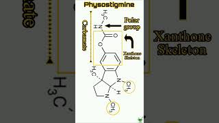 Physostigmine  Structure  Synthesis  SAR  IUPAC name physostigmine medicinalchemistry gpat [upl. by Elfrieda253]