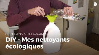 DIY  mes nettoyants écologiques  Bien dans mon appart [upl. by Emery]