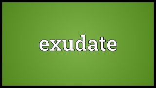 Exudate Meaning [upl. by Benton]