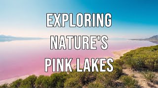 Exploring Natures Pink Lakes [upl. by Lemra]