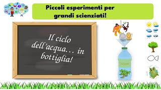 Una giungla in bottiglia Il ciclo dellacqua e i passaggi di stato [upl. by Chappie]