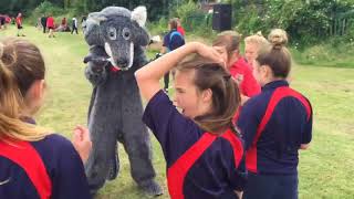 Wolfie Does Shake It Off at Colmers School [upl. by Sinnylg]