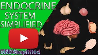 Human Endocrine System Made simple Endocrinology Overview [upl. by Eydie]