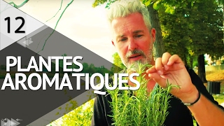 Cultiver des plantes aromatiques  PLANTISTE  ÉPISODE 12 [upl. by Anehta]