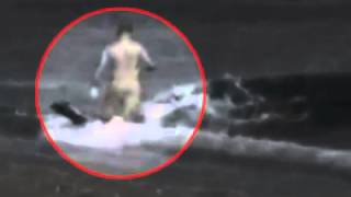 Killer Whale Attacks Man On Beach  WARNING Graphic [upl. by Broek]