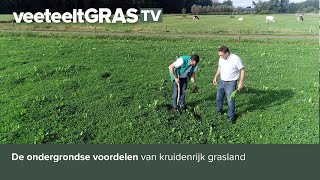 De ondergrondse voordelen van kruidenrijk grasland [upl. by Westley496]