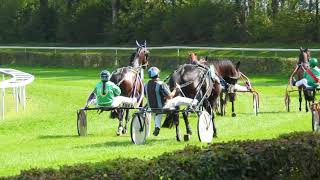 繋駕速歩競走 スタート前 Harness Racing 2017 0924 [upl. by Atinhoj]