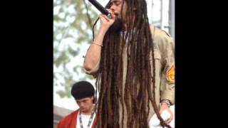 Damian Marley welcome to jamrock [upl. by Ynneb]