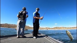 Coaching A High School Bassmasters Team At Bartlett Lake [upl. by Hellah]