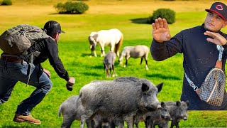 Nos encontramos con una manada de jabalín en el rio ￼ [upl. by Luemas]