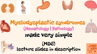 Myelodysplastic syndromes  MDS  Pathology  Med Vids made simple [upl. by Reddin]