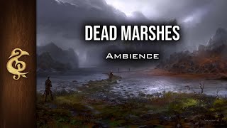 Dead Marshes  Adventure Ambience  1 Hour dnd [upl. by Sarena]