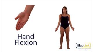 Hand Flexion Extension Hyperextension [upl. by Ok]