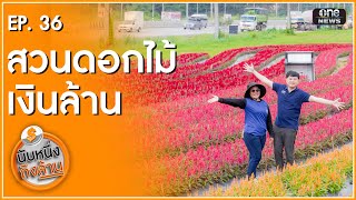 สวนดอกไม้เงินล้าน  นับหนึ่งถึงล้าน EP36  สำนักข่าววันนิวส์ [upl. by Yonah]